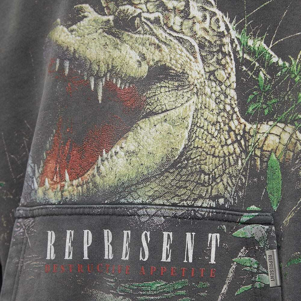 Худі Represent Destructive Appetite Hoodie Vintage Grey M04271-20