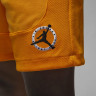 Шорти чоловічі Air Jordan Flight Mvp Yellow DX9722-717