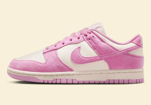 Кросівки Nike WMNS DUNK LOW HJ7673-101