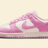 Кросівки Nike WMNS DUNK LOW HJ7673-101