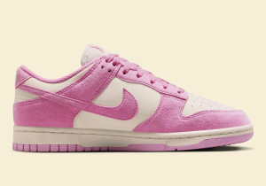 Кросівки Nike WMNS DUNK LOW HJ7673-101