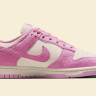 Кросівки Nike WMNS DUNK LOW HJ7673-101