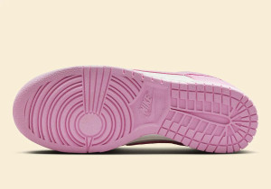 Кросівки Nike WMNS DUNK LOW HJ7673-101