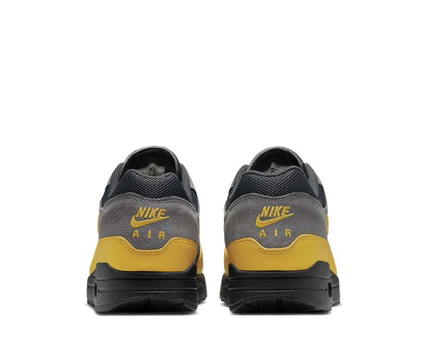 Кросівки Nike AIR MAX 1 ESS FZ5808-014