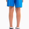 Шорти Puma teamRISE Short Jr синій Діт 704943-02