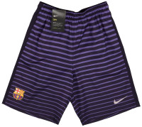 Шорти 844717-524 Jordan 844717-524