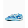 Кросівки NIKE DUNK LOW BLUE DM0121-400