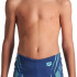 Плавки Arena POSEIDONIA SWIM SHORT 009008-708 Плавки Arena POSEIDONIA SWIM SHORT 009008-708
