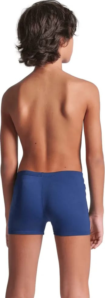 Плавки Arena POSEIDONIA SWIM SHORT 009008-708