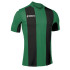 Футболка Joma PISA V 100403.451 зелено-чорна 100403.451