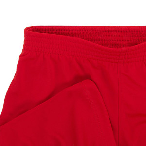 Футбольна форма Nike LK NK DRY PARK20 KIT SET K CD2244-657