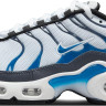 Кросівки Nike Air Max Plus Grey/Blue CD0609-409