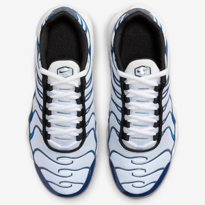 Кросівки Nike Air Max Plus Grey/Blue CD0609-409