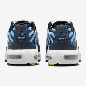 Кросівки Nike Air Max Plus Grey/Blue CD0609-409