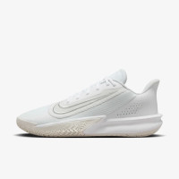 Кросівки Nike Precision 7 FN4322-100