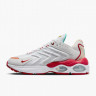 Кросівки Nike Air Max TW Lunar New Year FD4318-161