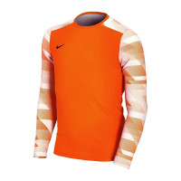 Футболка воротарська Nike JR Dry Park IV CJ6072-819
