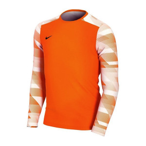 Футболка воротарська Nike JR Dry Park IV CJ6072-819