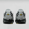 Кросівки Nike AIR MAX PLUS DM0032-015