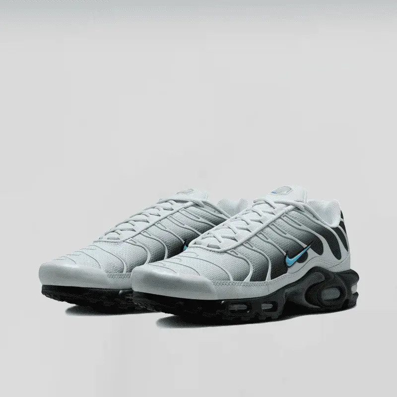 Кросівки Nike AIR MAX PLUS DM0032-015