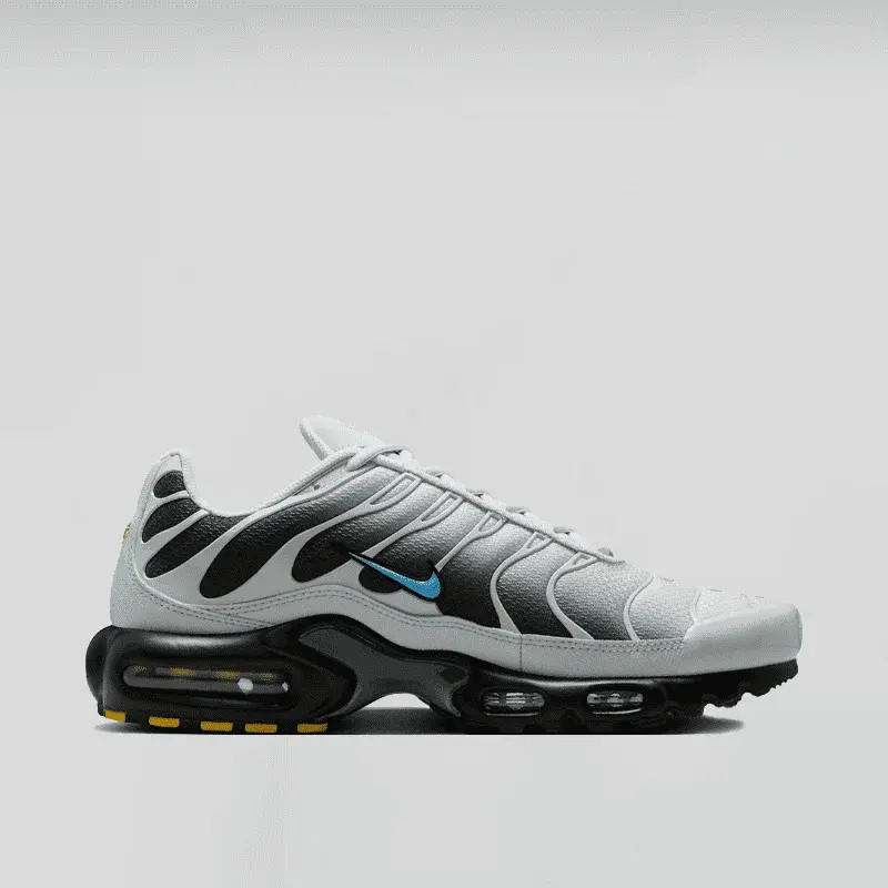 Кросівки Nike AIR MAX PLUS DM0032-015
