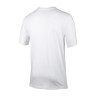 Футболка Nike M NSW TEE ICON SWOOSH DC5094-100