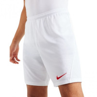 Шорти тренувальні Nike M NK DF PARK III SHORT NB K BV6855-103