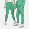 Штани дитячі Nike Sportswear Club Fleece Green FD3008-324