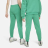Штани дитячі Nike Sportswear Club Fleece Green FD3008-324