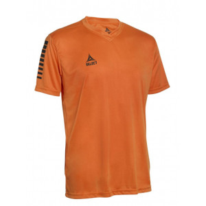 Футболка Select Pisa player shirt s/s 624130-004