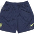 Шорти Joma AT11202A1121