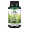 Капсули Tribulus Terrestris Extract 500mg - 60caps 100-45-3657047-20