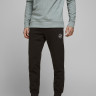Штани 12165322Black Jack&Jones M Чорний 12165322BLACK