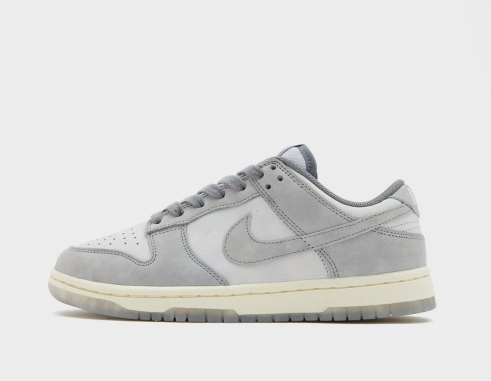 Кросівки Nike WMNS DLOW FV1167-001