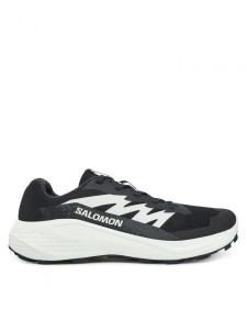 Кросівки ALPHAGLIDE L47801000 SALOMON 10,5 (45,5) Чорний L47801000