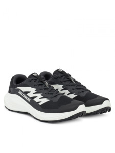 Кросівки ALPHAGLIDE L47801000 SALOMON 10,5 (45,5) Чорний L47801000