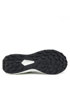 Кросівки ALPHAGLIDE L47801000 SALOMON 10,5 (45,5) Чорний L47801000