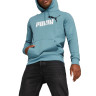 Худі ESS+ 2 Col Big Logo Hoodie FL 586764-49