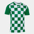 Футболка Joma FLAG II зелено-біла 101465.452 101465.452