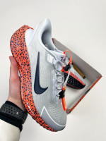 Кросівки Nike Pegasus Easyon OLY HF5357-900