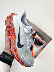 Кросівки Nike Pegasus Easyon OLY HF5357-900