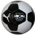 М'яч RBL ESS Ball Mini 084466-10