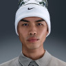 Шапка Nike U PEAK BEANIE SC HOL25 L HV7024-133