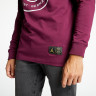 Кофта Jordan M J PSG LS TEE CK9781-610