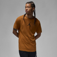 Футболка чоловіча Air Jordan Air Jumpss Crew Brown CW5190-228