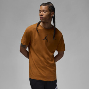 Футболка чоловіча Air Jordan Air Jumpss Crew Brown CW5190-228