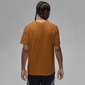 Футболка чоловіча Air Jordan Air Jumpss Crew Brown CW5190-228