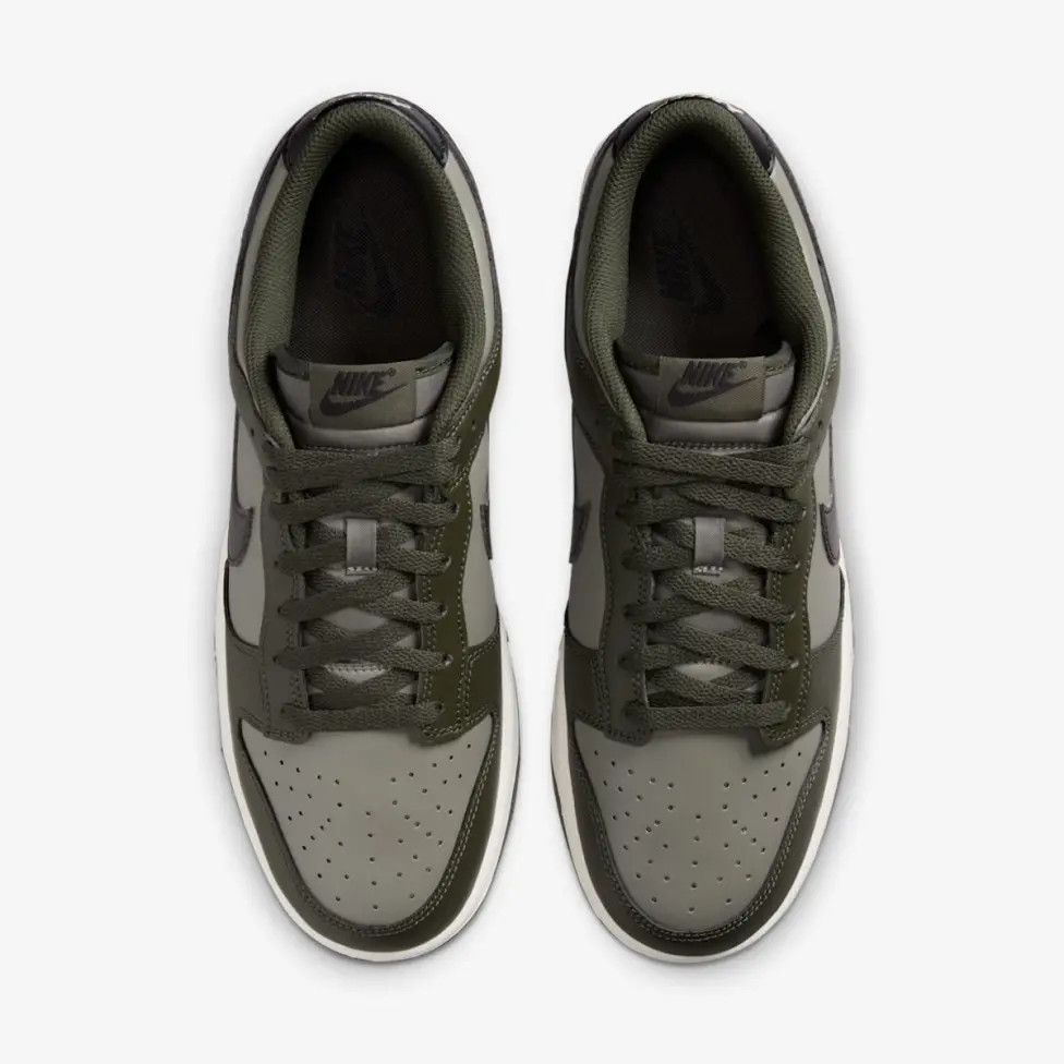 Кросівки Nike DUNK LOW RETRO HF5441-300