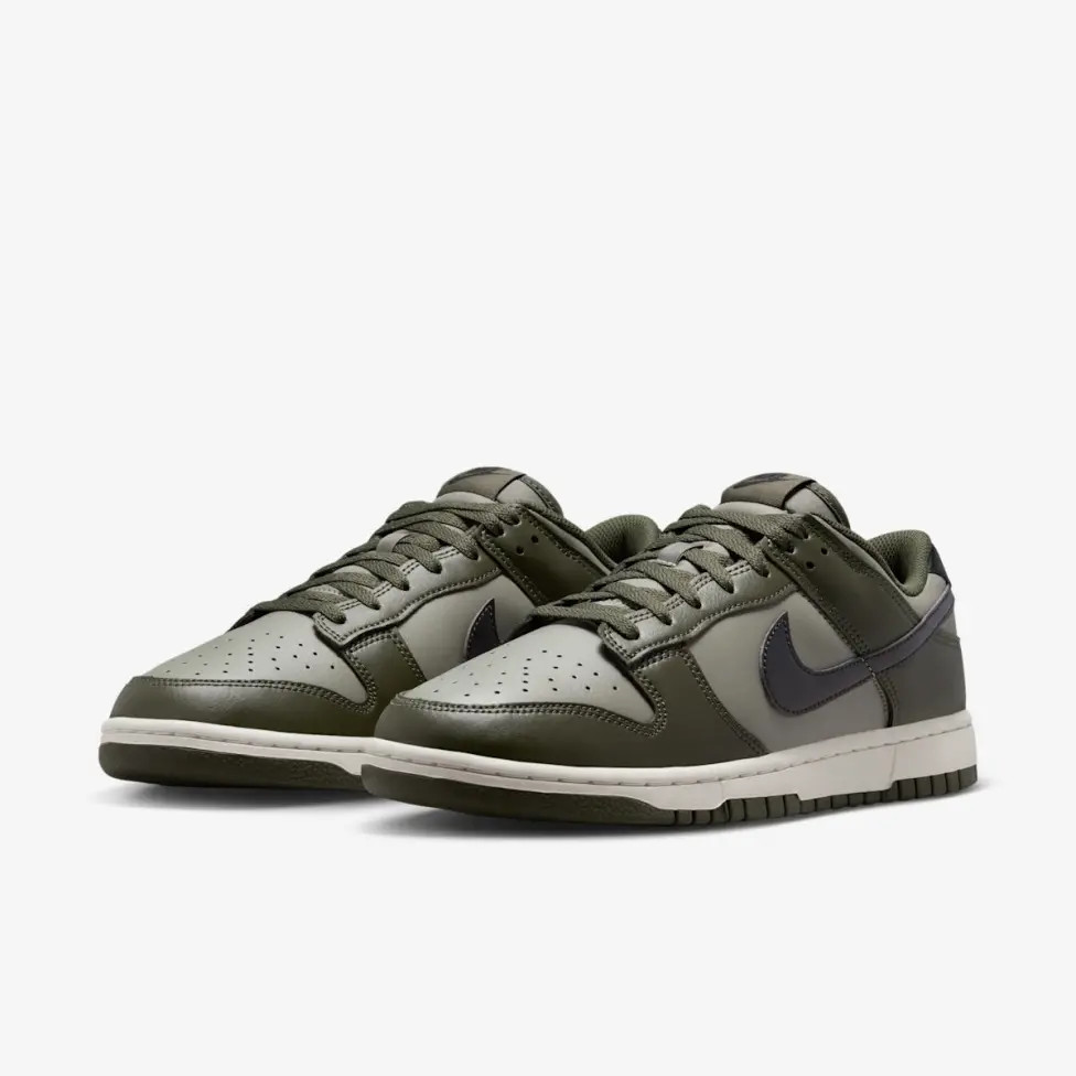Кросівки Nike DUNK LOW RETRO HF5441-300