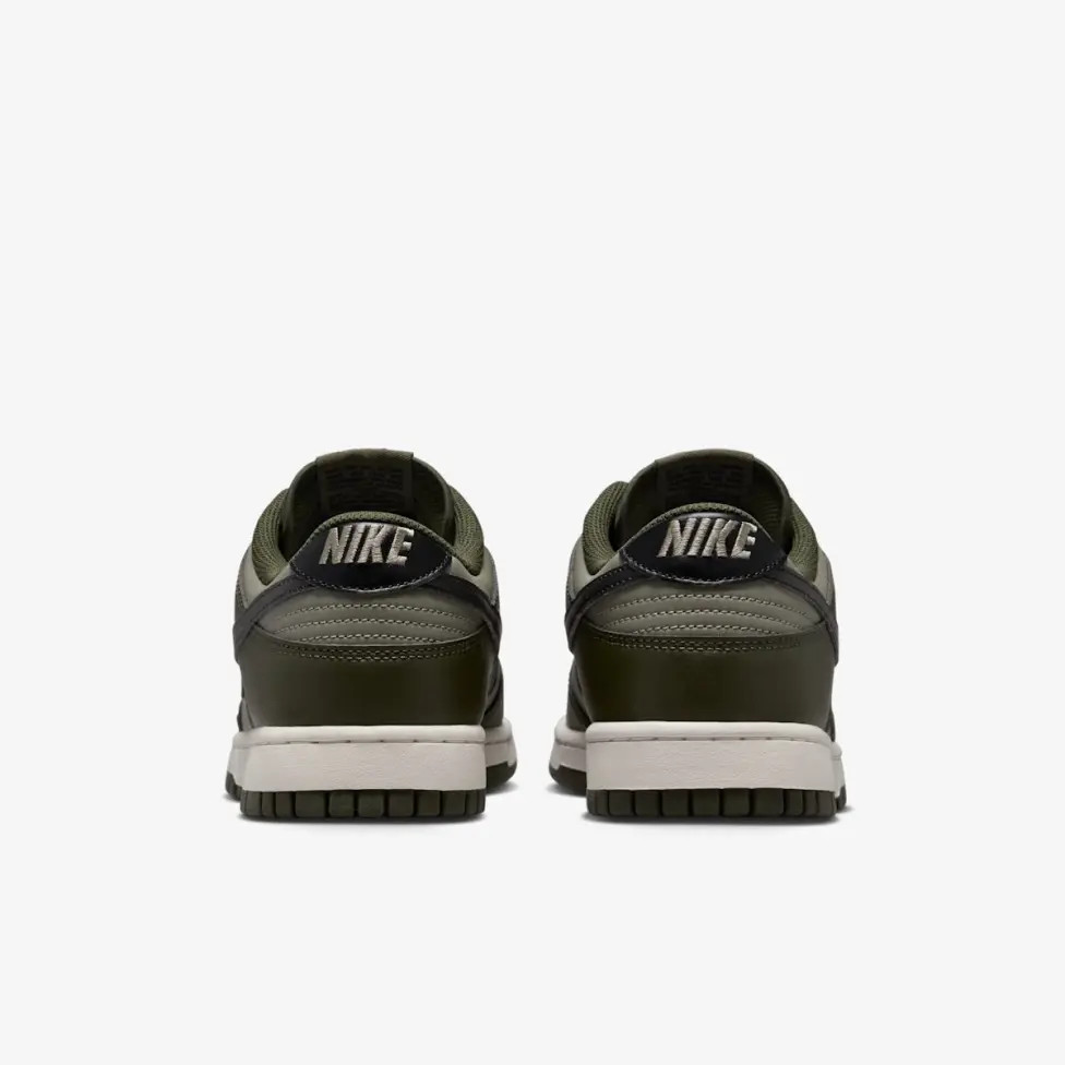 Кросівки Nike DUNK LOW RETRO HF5441-300